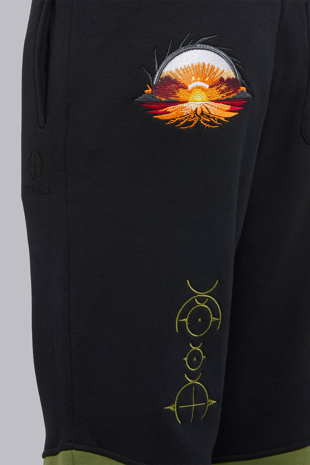 Story of a Parhelion Pants